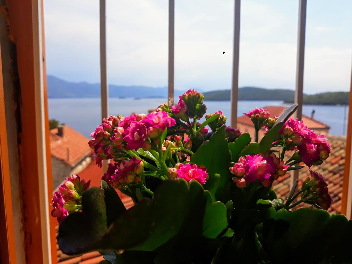 Studios Jacobus Korčula Exteriér fotografie